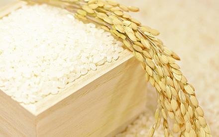 国産ブランド米使用